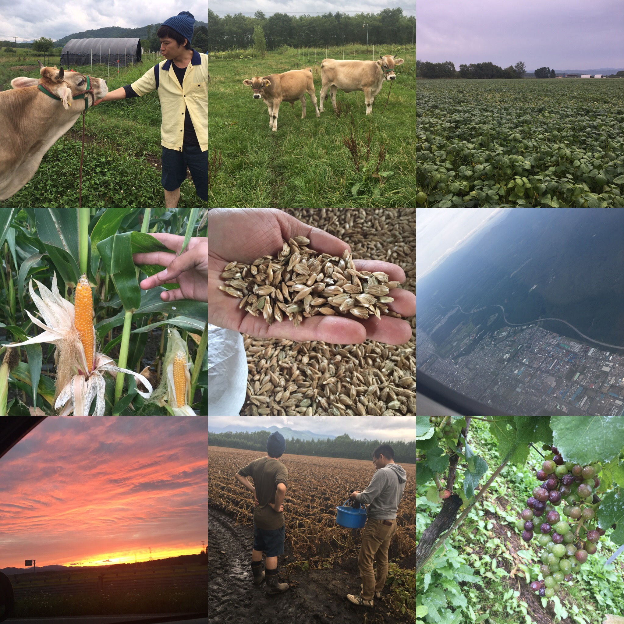 北海道小麦農家訪問の様子